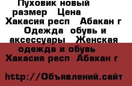 Пуховик новый 48-50 размер › Цена ­ 3 500 - Хакасия респ., Абакан г. Одежда, обувь и аксессуары » Женская одежда и обувь   . Хакасия респ.,Абакан г.